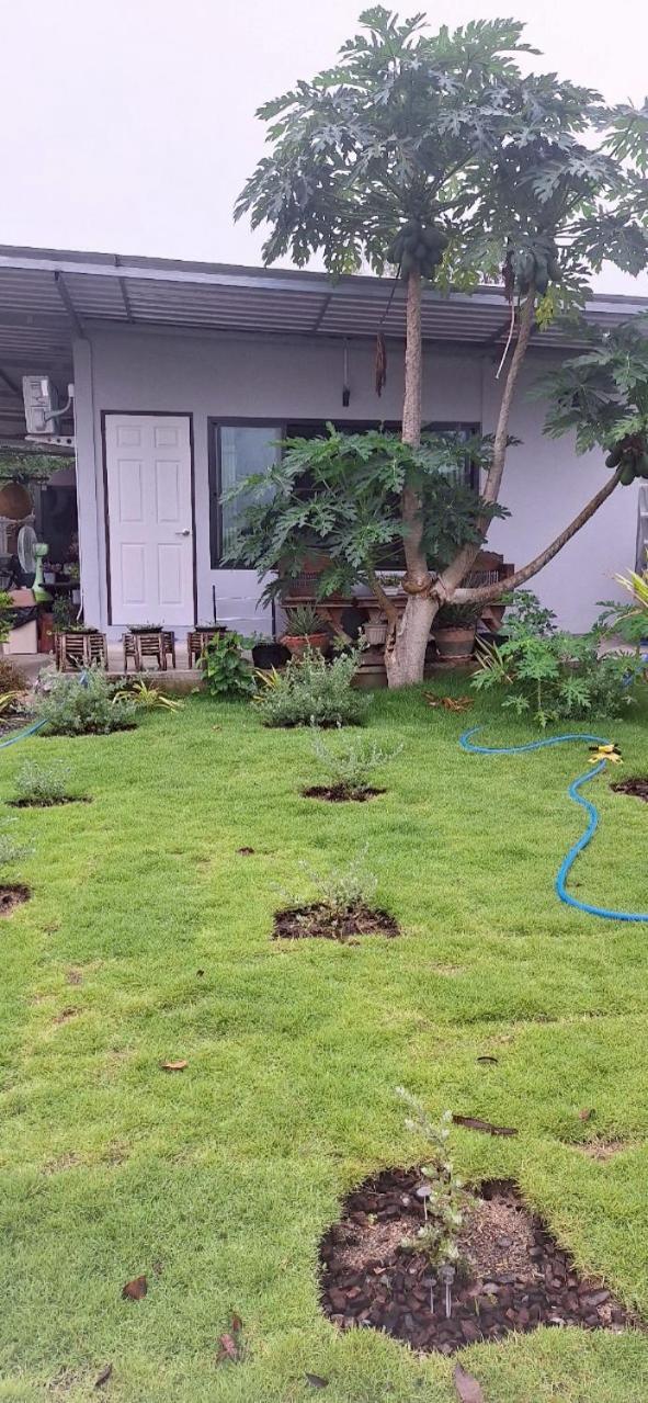 Homestay Lala's House@mae On